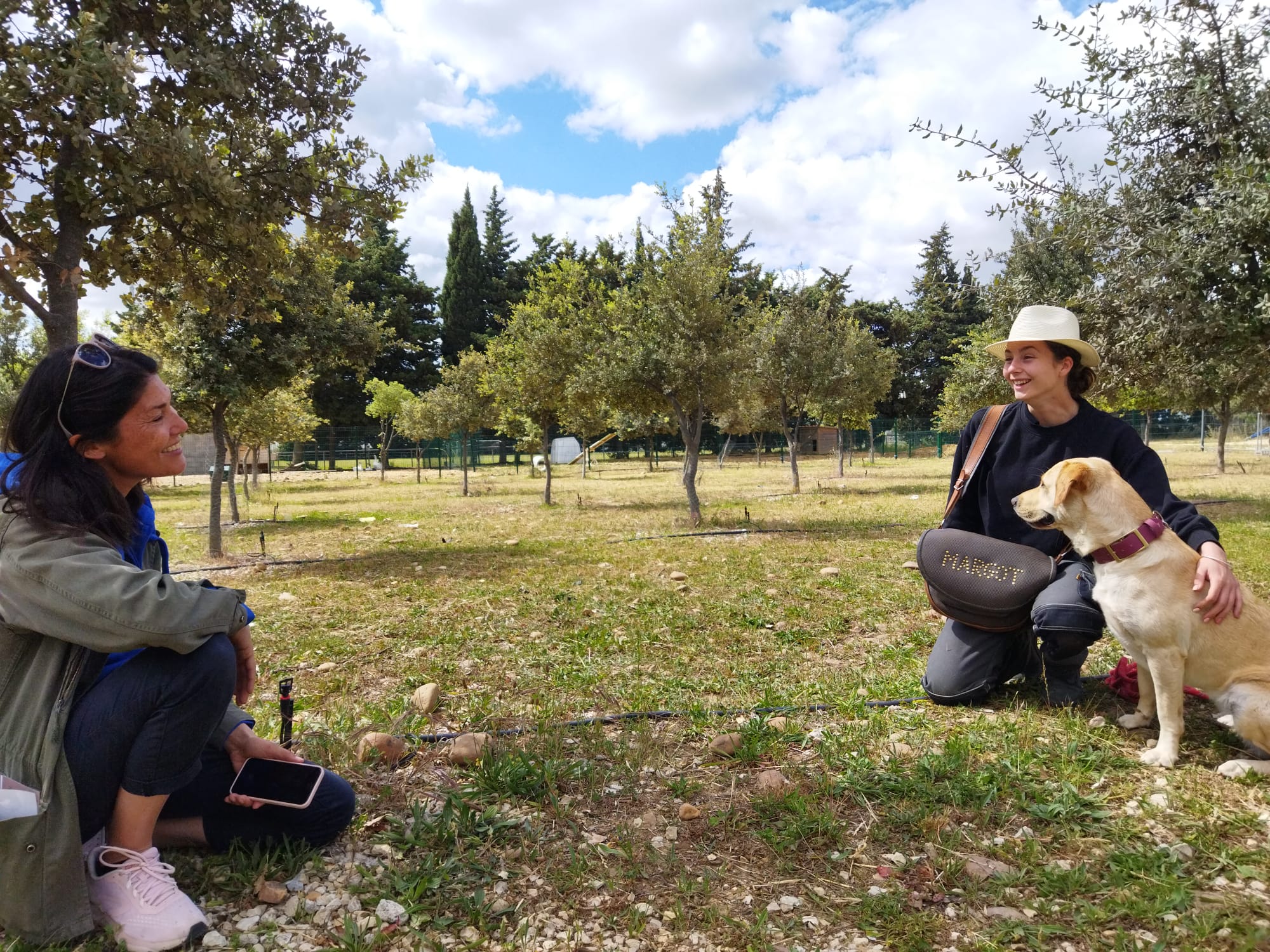 Formations longues pour Adultes Secteur Canin-Félin