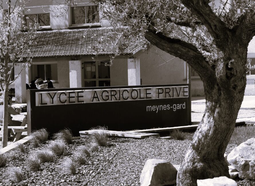 histoire du lycée