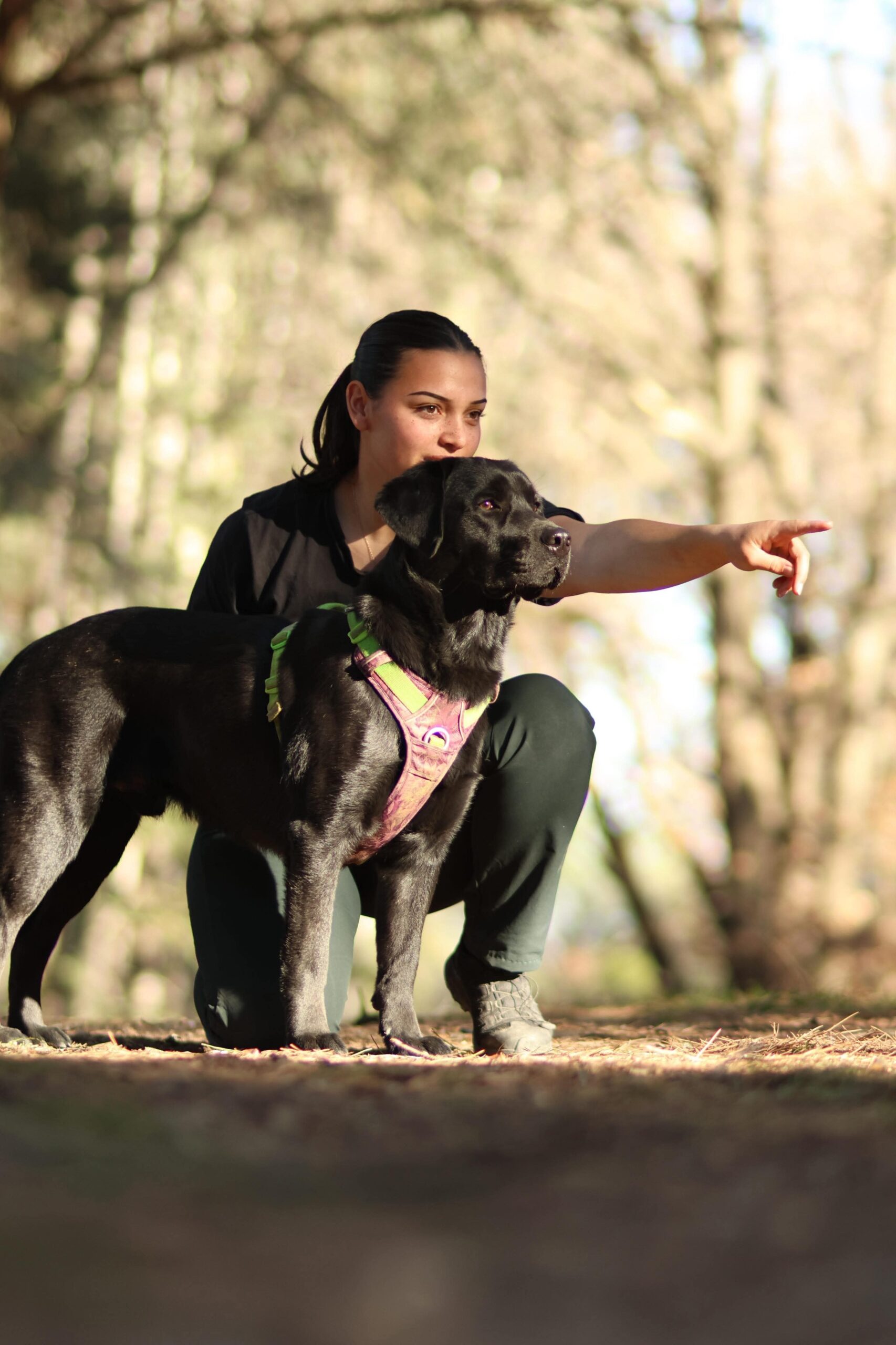 Formations longues pour Adultes Secteur Canin